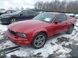 Ford Mustang V6 Deluxe/V6 Premium 1ZVFT80N455248349 fotografie