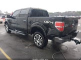 Ford F-150 Fx4/Harley-Davidson/King Ranch/Lariat/Platinum/Xl/Xlt 1FTFW1EV9AFA21320 снимка