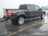 Ford F-150 Fx4/Harley-Davidson/King Ranch/Lariat/Platinum/Xl/Xlt 1FTFW1EV9AFA21320 снимка
