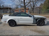 Ford Mustang Gt 1ZVFT85H665236918 снимка