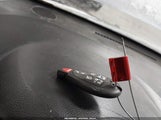Miniaturka zdjęcia 11