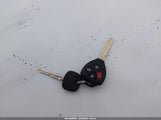 Miniaturka zdjęcia 11