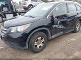 Honda Cr-V Lx 2HKRM4H31DH642253 снимка