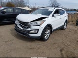 Hyundai Santa Fe Sport 2.0T 5XYZUDLA6DG101535 fotografie