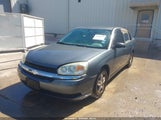 Chevrolet Malibu Ls 1G1ZT54845F164344 снимка