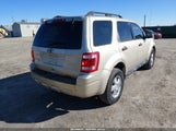 Ford Escape Xlt 1FMCU0D76BKB47399 fotografie