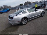Ford Mustang V6 1ZVBP8AM0D5283543 снимка
