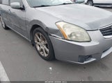 Nissan Maxima 3.5 Se 1N4BA41E58C819481 снимка