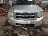 Ford Escape Xlt 1FMCU0DG4CKB65191 снимка