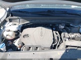 Kia Sorento S 5XYRLDJCXRG261948 снимка