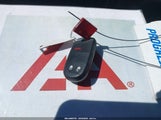 Miniaturka zdjęcia 11