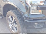 Ford F-150 Xlt 1FTEW1EG1GFA43009 снимка