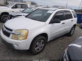 Chevrolet Equinox Ls 2CNDL13F856087512 снимка