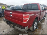 Ford F-150 Xlt 1FTFW1ET4EKG30651 снимка