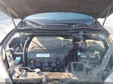 Honda Accord Ex-L V-6 1HGCR3F81FA035393 fotografie