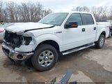 Ford F-150 Xlt 1FTFW1EF6DKE02742 снимка