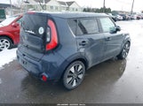 Miniaturka zdjęcia 4