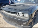 Dodge Challenger Sxt 2C3CDYAG9EH274039 снимка