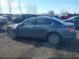 Honda Accord 3.5 Ex-L 1HGCP3F86CA019952 снимка