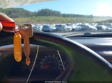 Miniaturka zdjęcia 11