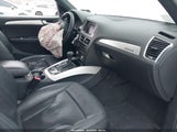 Miniaturka zdjęcia 5