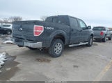 Ford F-150 Fx4/King Ranch/Lariat/Platinum/Xl/Xlt 1FTPW14V69FB16113 fotografie