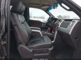 Ford F-150 Fx4/King Ranch/Lariat/Platinum/Xl/Xlt 1FTPW14V69FB16113 fotografie