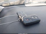 Miniaturka zdjęcia 11