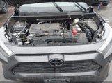 Toyota Rav4 Xle 2T3W1RFV3RW344025 снимка