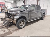Ford F-150 Xlt 1FTEW1EG0HKD83700 снимка