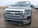 Ford F-150 Xlt 1FTFX1EF9EFC14577 снимка