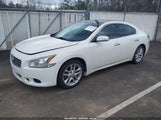 Nissan Maxima 3.5 Sv 1N4AA5AP1BC840970 photo