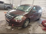 Honda Odyssey Ex-L 5FNRL38737B453641 снимка