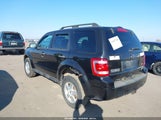 Ford Escape Xlt 1FMCU9DG3BKB72992 снимка