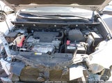 Toyota Rav4 Xle 2T3WFREV1JW461982 снимка