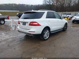 Mercedes-Benz Ml 350 4JGDA5JB9FA592010 снимка