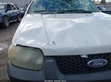 Ford Escape Xlt 1FMYU93125KE47209 снимка