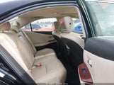 Miniaturka zdjęcia 8