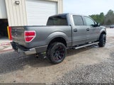 Ford F-150 Xl/Xlt 1FTEW1E80AFA84358 снимка