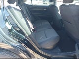 Miniaturka zdjęcia 8