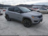 Jeep Compass Trailhawk 4X4 3C4NJDDB9MT565278 снимка