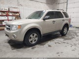 Ford Escape Xlt 1FMCU9DGXCKC55353 снимка