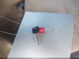 Miniaturka zdjęcia 11