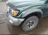 Toyota Tacoma Base V6 5TEWN72N81Z734643 photo
