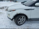 Miniaturka zdjęcia 6