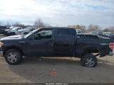 Ford F-150 Xlt 1FTFW1EF3DKE35701 снимка
