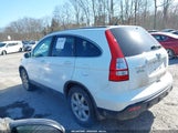 Honda Cr-V Ex-L 5J6RE487X8L042293 fotografie