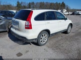 Honda Cr-V Ex-L 5J6RE487X8L042293 photo