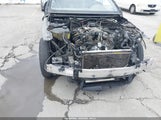 Miniaturka zdjęcia 6