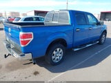 Ford F-150 King Ranch/Lariat/Platinum/Xl/Xlt 1FTPW12V89KC61082 снимка